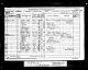 1881 Wales Census